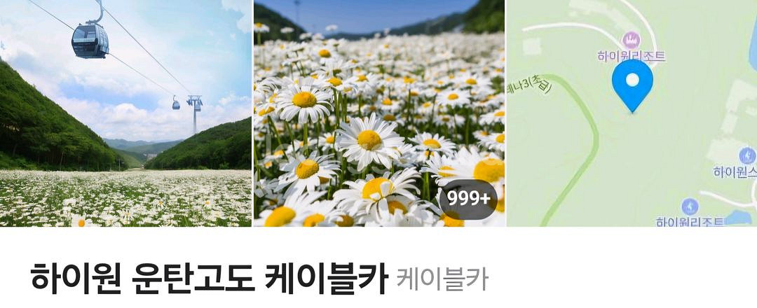 하이원 운탄고도 케이블카--0