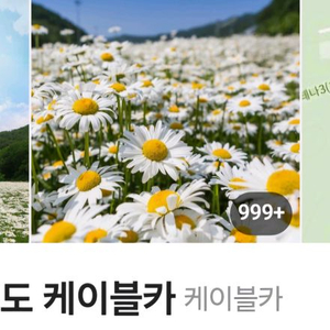 하이원 운탄고도 케이블카