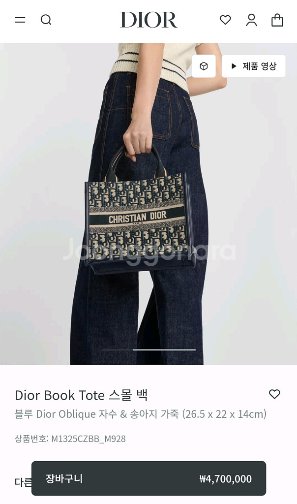 디올 북토트 백 (가죽)--2
