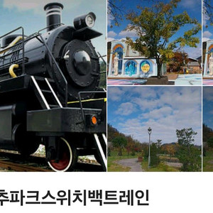 추추파크 스워치 백트레인