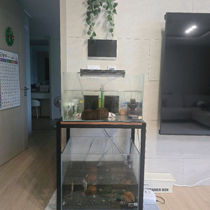 아쿠아가든 어항판매합니다.