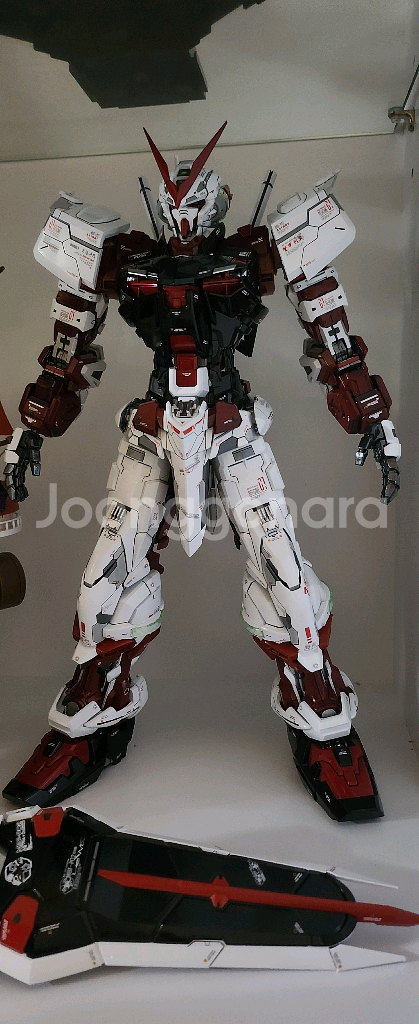 반다이 pg아스트레이 개수 풀도색작--5