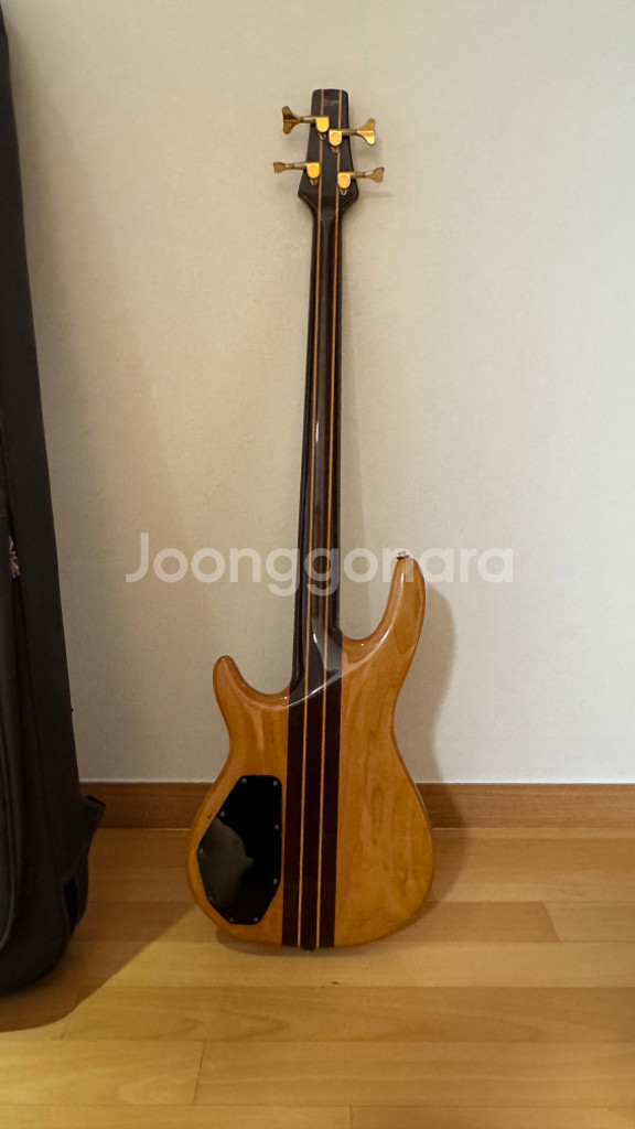 Cort Artisan 콜트 아티산 베이스기타 베이시스--5