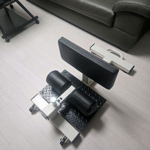 건강한형제들 스쿼트