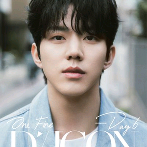 (택포) 디아이콘 데이식스 도운 A+B 일괄