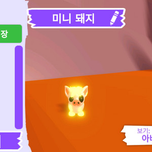 입양하세요 펫 메가네온 미니 돼지 판매합니다.