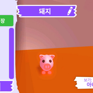 입양하세요 펫 메가네온 돼지 판매합니다.