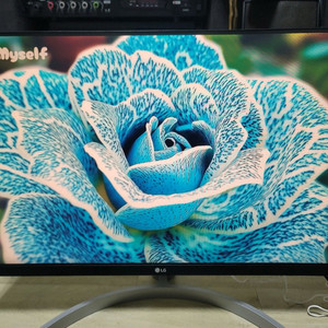 27인치 lg 모니터 팔아요 ips27ml600sw