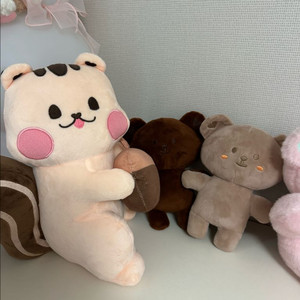 돗투돗 단종된 대왕돗람이 돗꼼세트 일괄