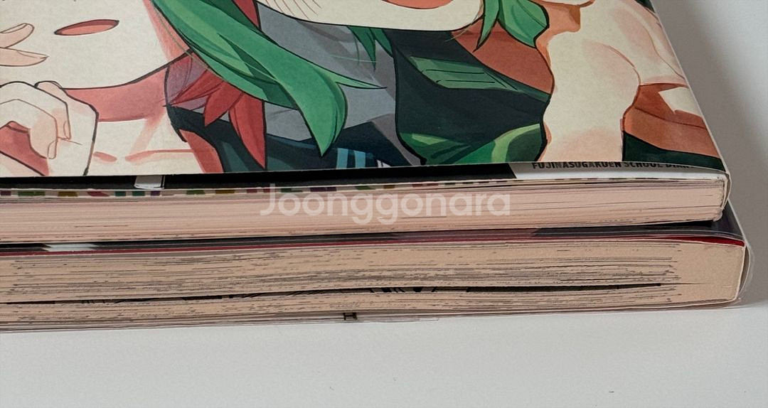 학생회에도 구멍은 있다 9권 일러스트북--3