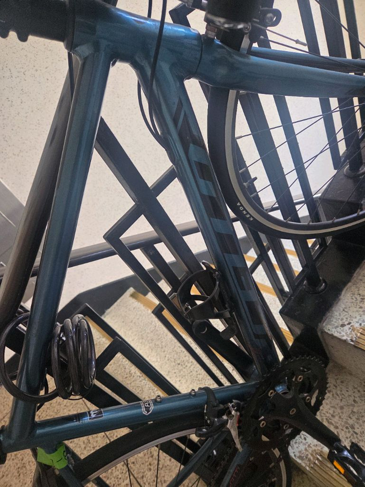 첼로 스칼라티 a3 이미지