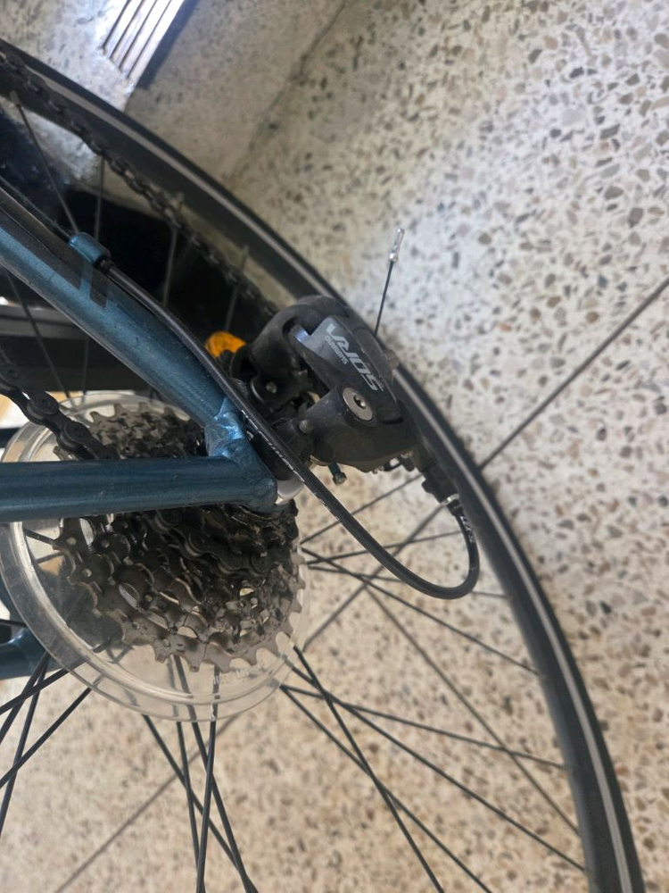 첼로 스칼라티 a3 이미지