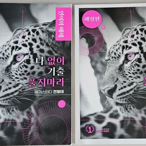 새책 전형태 언어와 매체 나 없이 기출 풀지마라 메가스