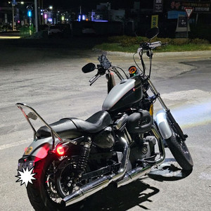 할리데이비슨 XL1200N
