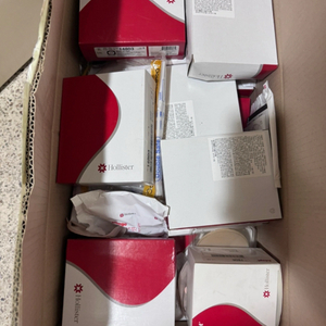 홀리스터 14803