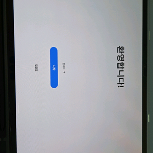갤럭시탭 S8+ 256기가 와이파이 그라파이트