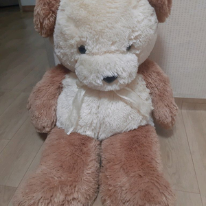 대형 곰돌이