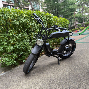 모페즈 750w