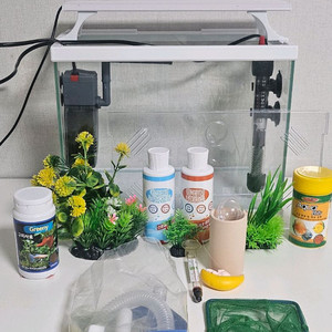 어항 물고기 키우기 풀세트