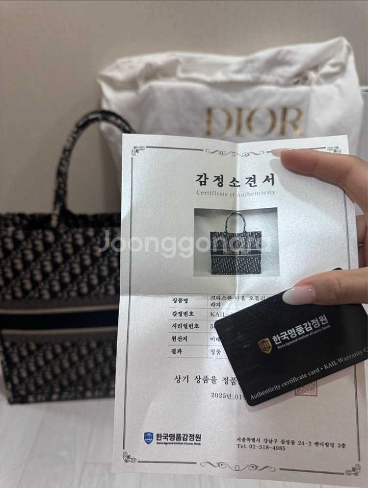 디올 북토트 라지--7