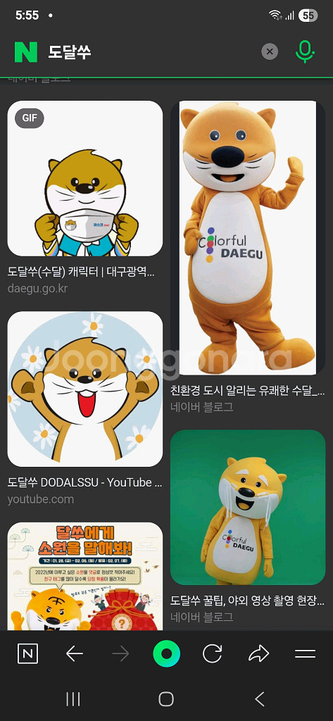 대구시 캐릭터 도달쑤 수달인형 새상품(택포)--8