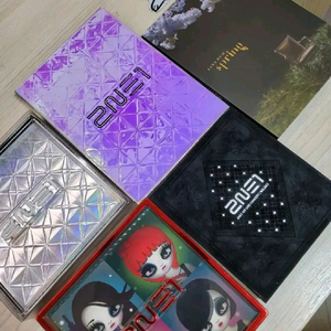 2ne1 앨범 박봄 미니12 정규 포카 놀자디비디콘서트
