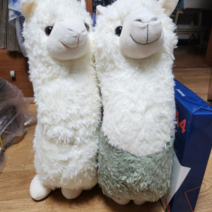 라마인형 55cm 2개