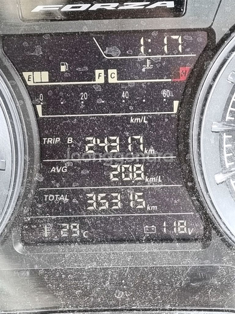 23년 포르자350 xmax대차가능--1
