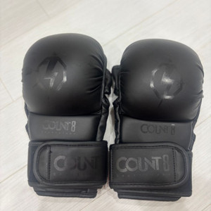 MMA 글러브