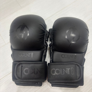 MMA 글러브