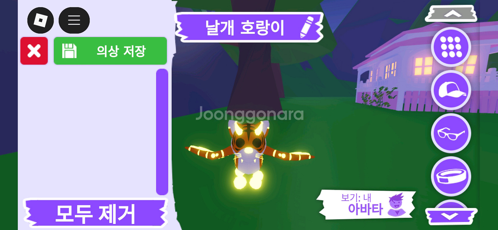 입양하세요 펫 메가네온 날개 호랑이 판매합니다--0