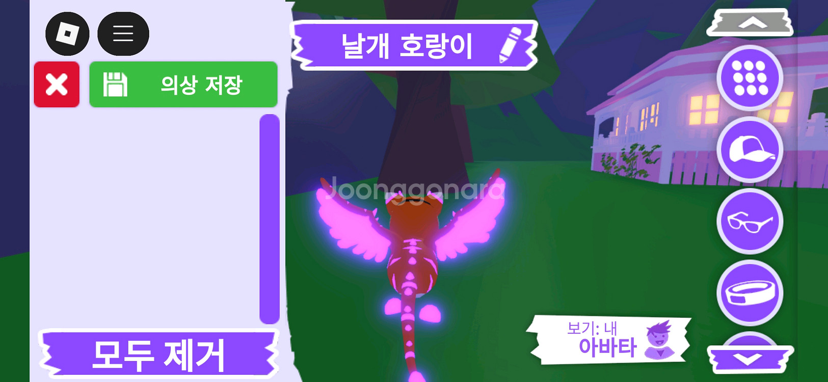 입양하세요 펫 메가네온 날개 호랑이 판매합니다--3