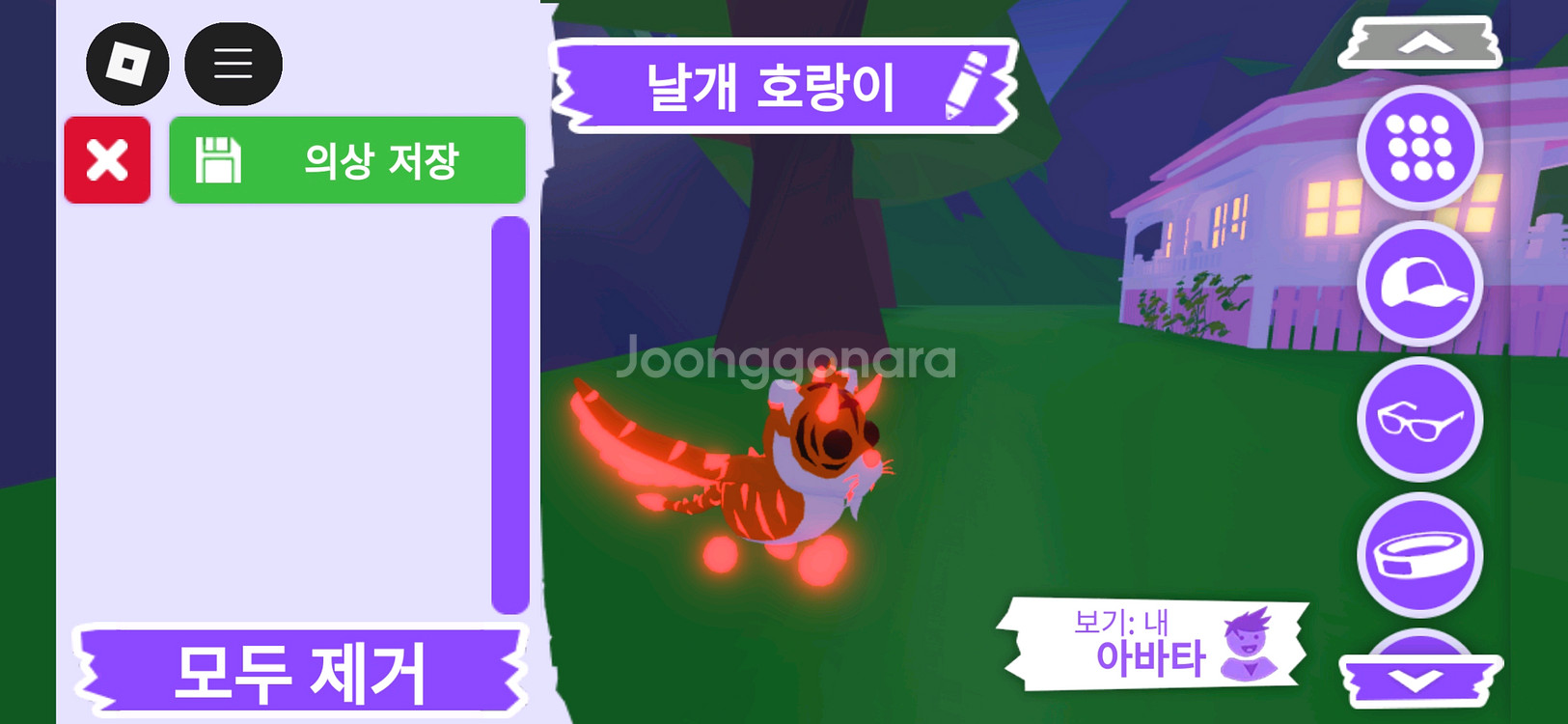 입양하세요 펫 메가네온 날개 호랑이 판매합니다--2