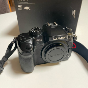파나소닉 루믹스 GH4 바디 (터치스크린 고장)