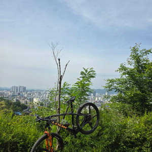 룩 look 987 산악자전거(mtb)