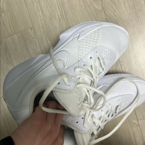 gt컷 아카데미 255~260농구화
