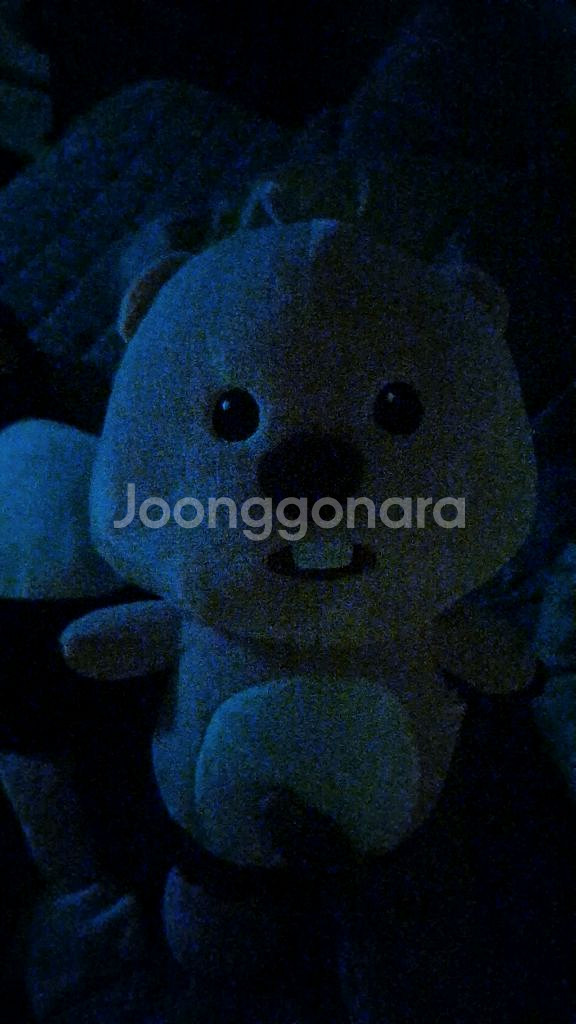 그로밋가방,원숭이 인형,닭? 인형,루피 인형 처분--4