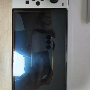 닌텐도 스위치 oled