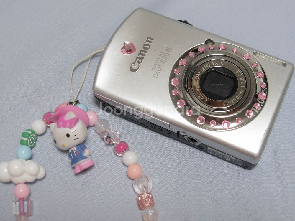 캐논 익서스 870 (ixus870)--0