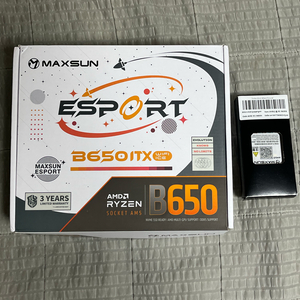 9600x + maxsun b650i