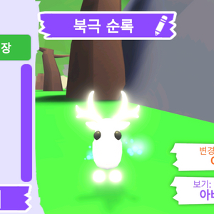 입양하세요 펫 네온 북극 순록(흰순록) 판매합니다