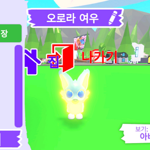 입양하세요 펫 메가네온 오로라 여우 판매합니다