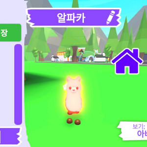 입양하세요 펫 메가네온 알파카 입니다.