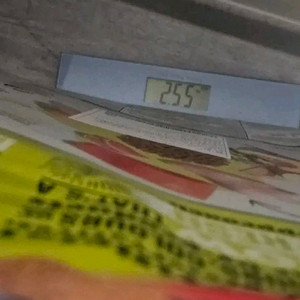 나우퍼피사료2kg