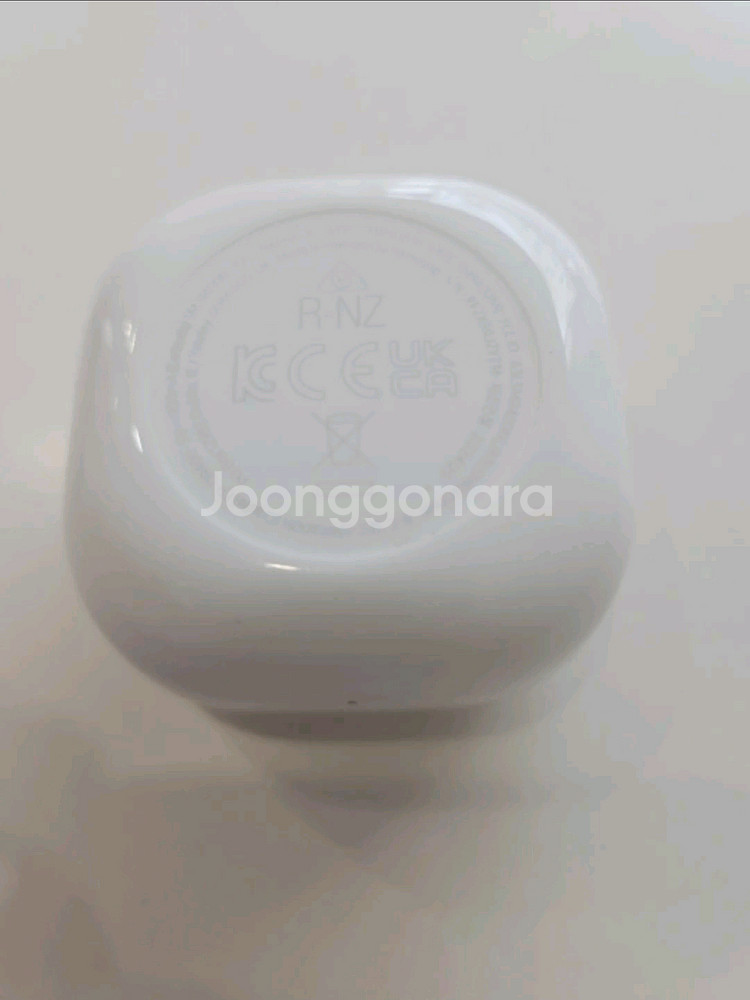 갤럭시버즈fe--2