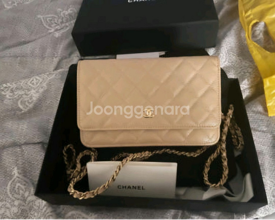 woc 램스킨--1