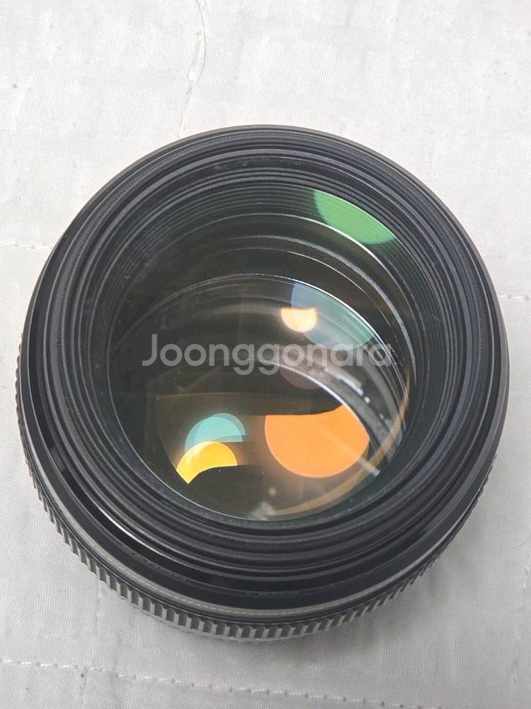 캐논 85mm 애기만두--2