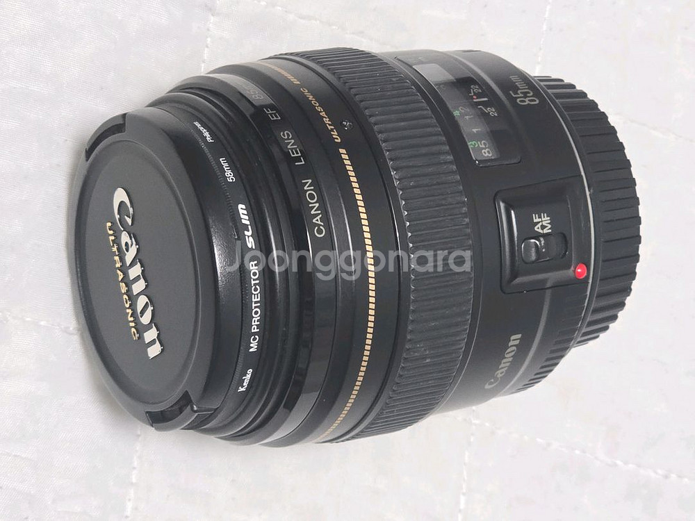 캐논 85mm 애기만두--3