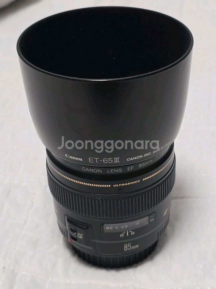 캐논 85mm 애기만두--4