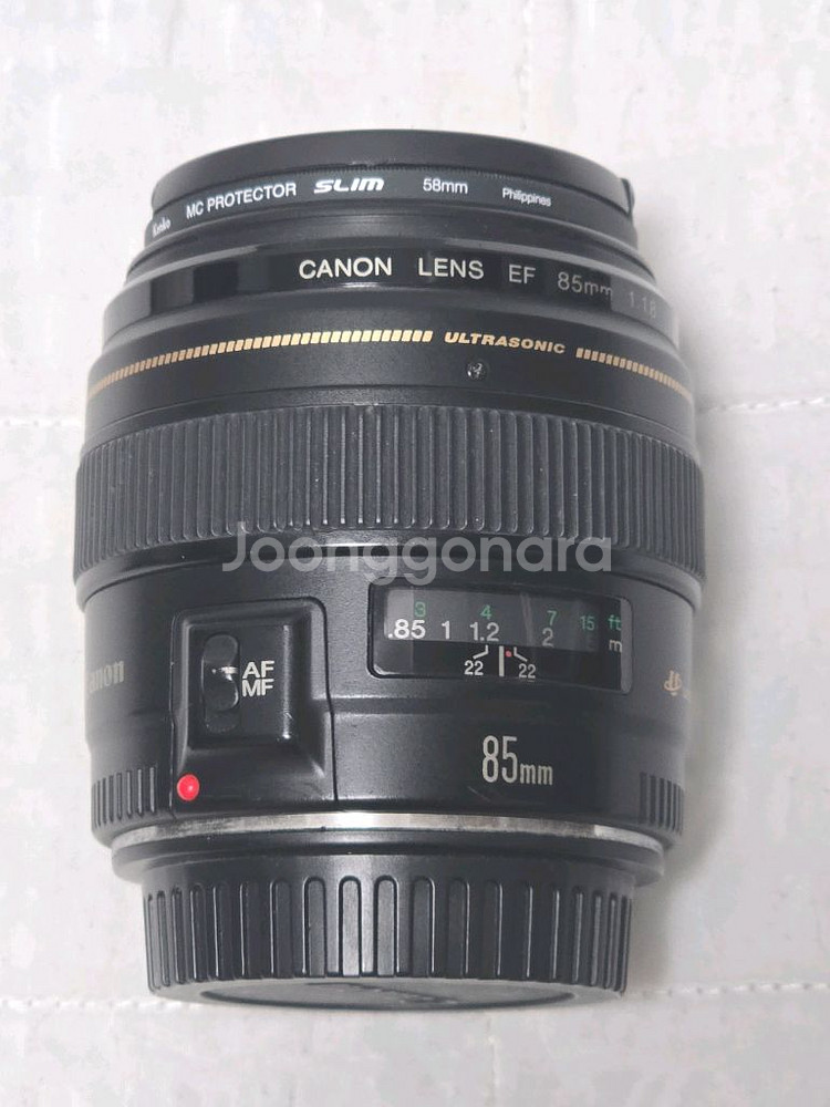 캐논 85mm 애기만두--0